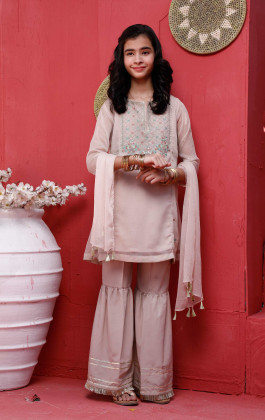 Beige 3PCs Chiffon Embroidered