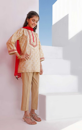 Beige Dobby Screen Print Kurti